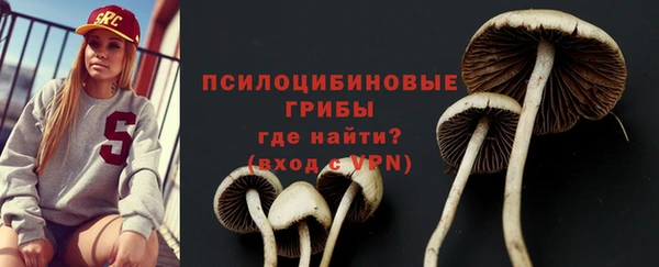таблы Переславль-Залесский
