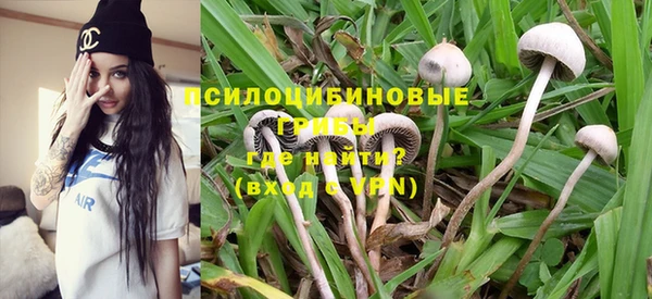 гидропоника Пестово