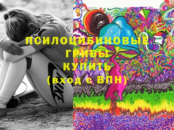 PSILOCYBIN Белоозёрский